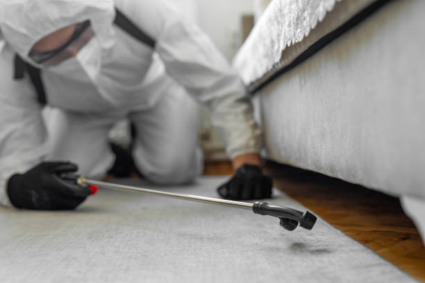 Professional Wasp Control technician working in Tarpon Springs, FL