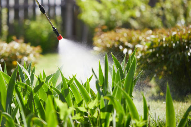 24/7 Emergency Mosquito Control experts in Tarpon Springs, FL