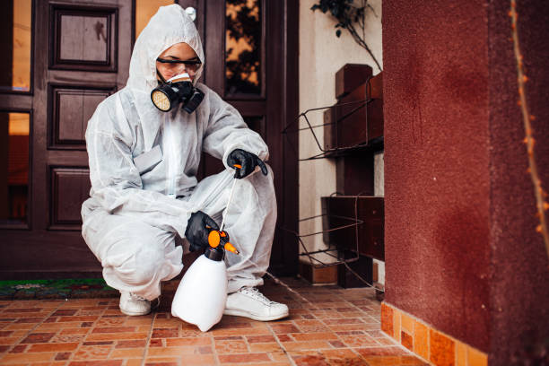 Reliable Mosquito Control contractor in Tarpon Springs, FL by Nex Pest Control