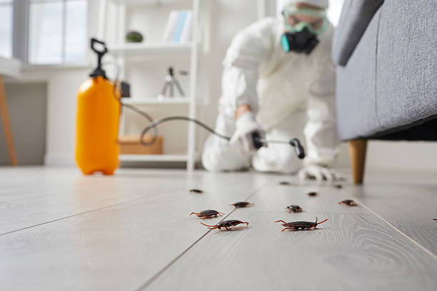 Trusted Mosquito Control service in Tarpon Springs, FL - Nex Pest Control