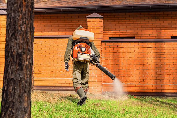 Trusted Termite Control service in Tarpon Springs, FL - Nex Pest Control